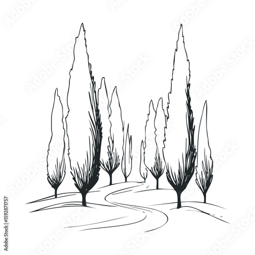 Cypress trees lining a winding pathway in a serene landscape scene