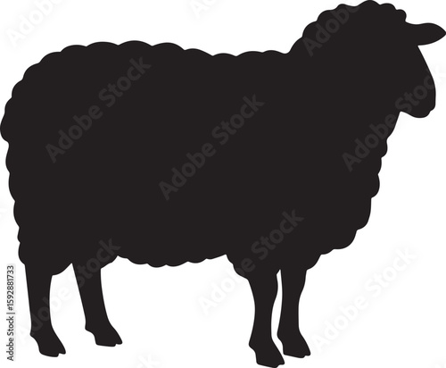 Silhouette of a Woolly Sheep Standing in Profile, Vector Sheep with Thick Wooly Coat in Dark Silhouette