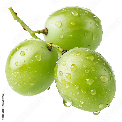 Wallpaper Mural Fresh green grapes with dewdrops on isolated background for healthy eating and juicy snacks Torontodigital.ca