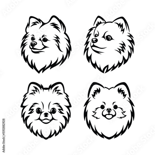 pomeranian head vector silhouette dog breed