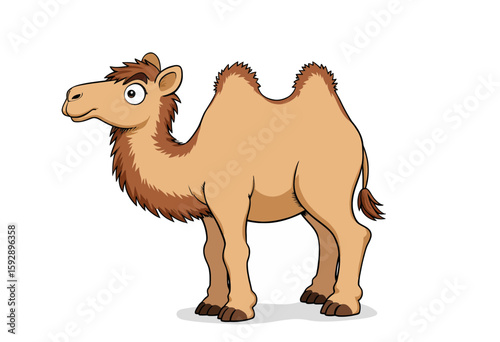 Cartoon camel standing with a friendly expression on a white background  