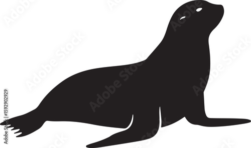 Majestic Seal Silhouette: Capturing the Grace and Power of Marine Life, A Sleek Sea Lion Outline, Perfect for Nature-Themed Designs