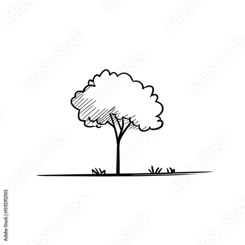 Solitary sketched tree grows peacefully in minimal simple landscape drawing