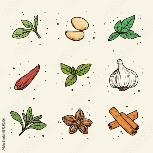 Hand-Drawn Herbs and Spices Set