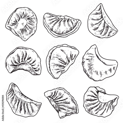 Dumpling Sketch on White Background