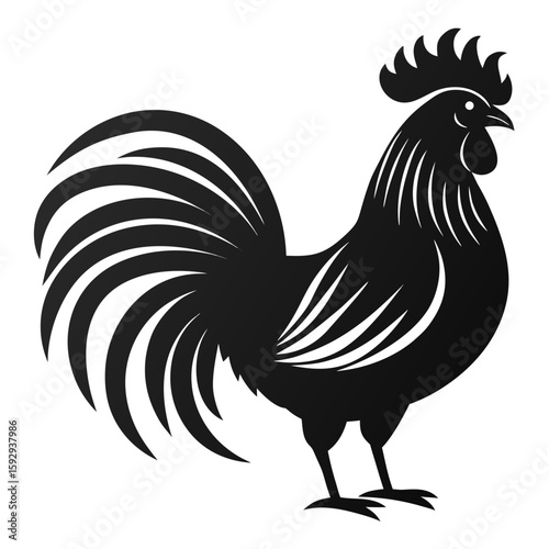 rooster, chicken, bird, farm, animal, poultry, cock, crowing, dawn, morning, country, rural, agriculture, livestock, domestic, crest, comb, wattle, spur, feathers, tail, farmhouse, barnyard, pecking, 