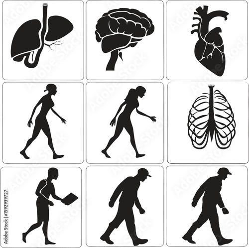 Human anatomy and movement icons lungs trachea