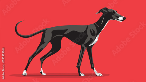Greyhound Dog Pet Icon Vector Illustration
