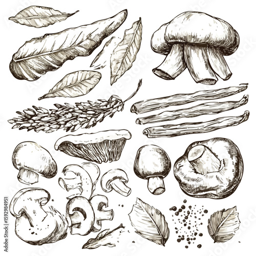 French Cuisine Sketch Set