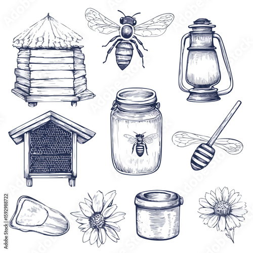Vintage Beekeeping Tools Sketch Set