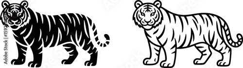 Vector art of a majestic tiger embodies strength and grace in the wild, isolated on white background