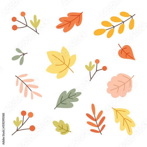 Collection of hand drawn vector autumn leaves and berry elements in flat style.