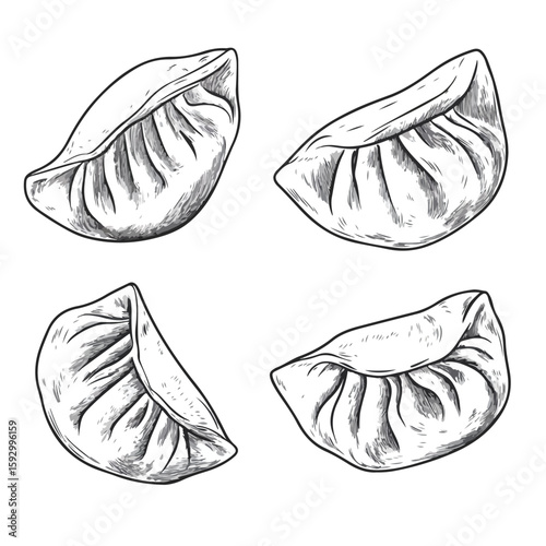 Dumpling Sketch on White Background