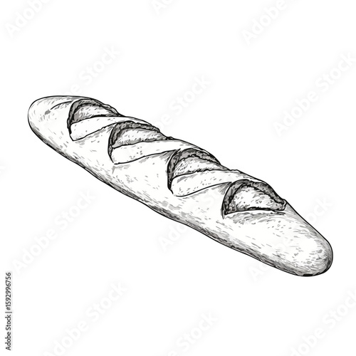 French Baguette Bread Sketch Artwork