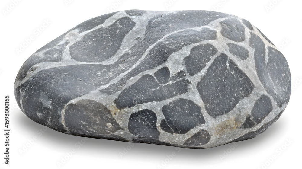 Obraz premium Unique Gray and White Patterned Stone Pebble