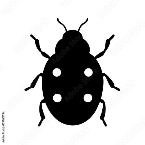Observe a rare black ladybug stethorus punctillum a tiny beneficial insect known for controlling spider mites in gardens and natural environments.silhouette, black, transparent background, 