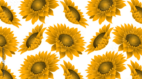 Seamless flower pattern. Abstract pattern. Textile print sunflower pattern. White background.