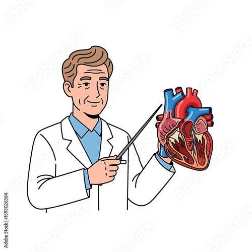 A doctor in a white coat points to a detailed anatomical model of a human heart with a pointer.