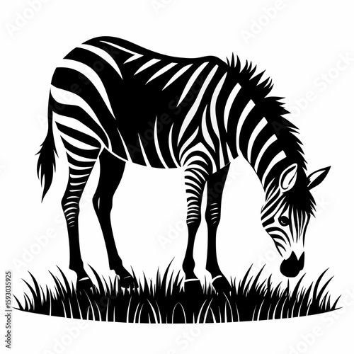 Stylized black and white zebra grazing in grass isolated on white background