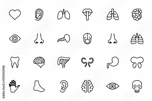 
A refined bundle highlighting anatomical body parts and organs in elegant line detail—designed for health education, modern clinics, physiotherapy branding, and medical posters.