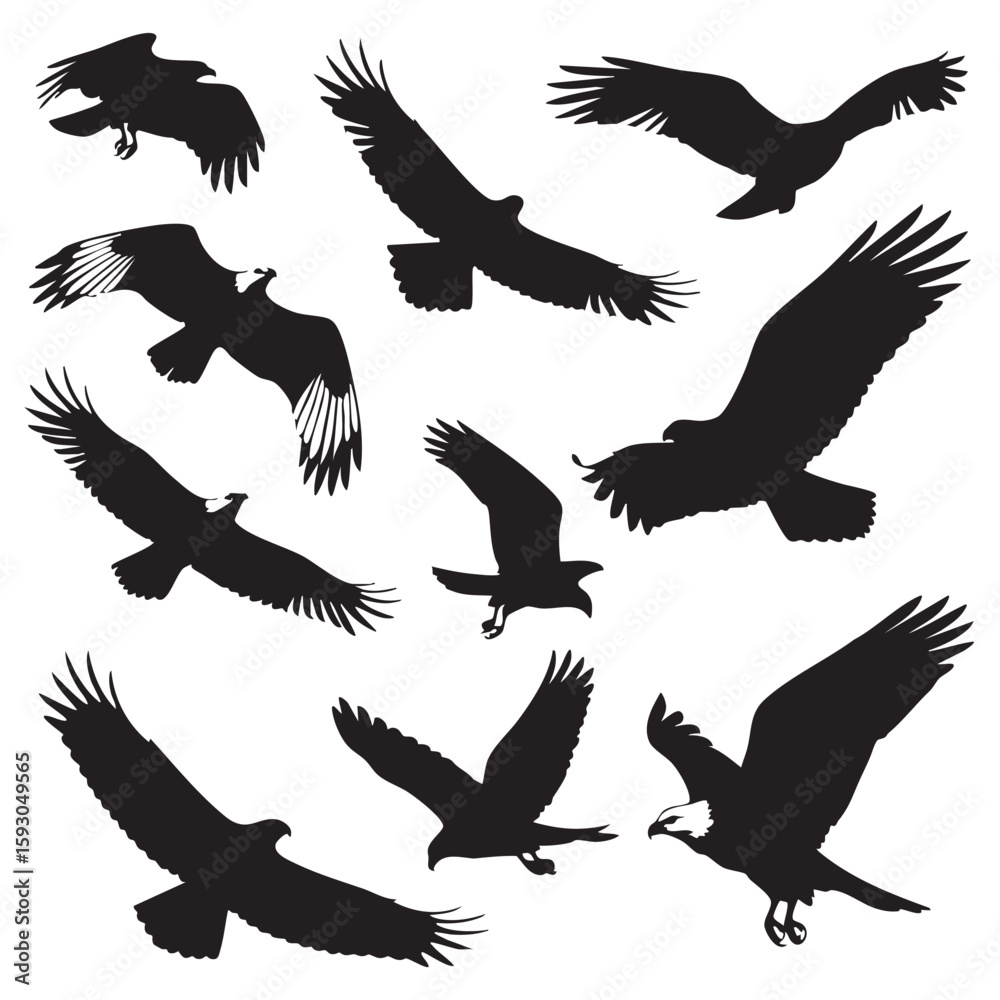 Fototapeta premium Black silhouettes of eagles in flight with spread wings and talons extended bird flying