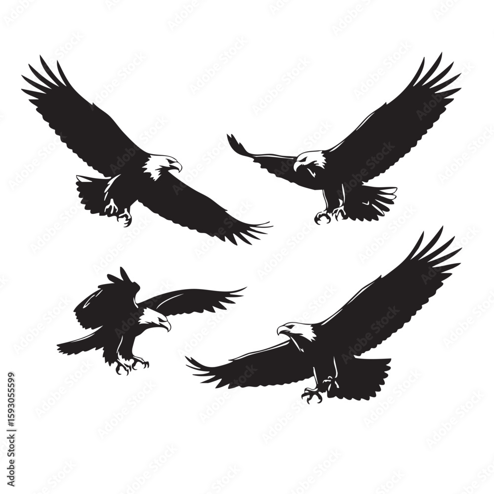 Obraz premium Four eagles in flight black and white silhouettes bird birds