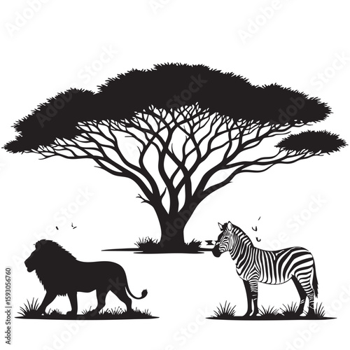 Majestic Lion and Striped Zebra Under a Silhouette Acacia Tree savanna