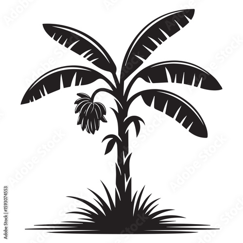 A lush banana tree with a bunch of bananas, isolated on white background, evokes the essence of a tropical paradise with its vibrant leaves and exotic fruit