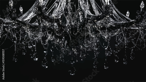 Elegant Spider Web Illustration on Black Background