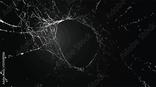 Intricate Spider Web Pattern on Black Background