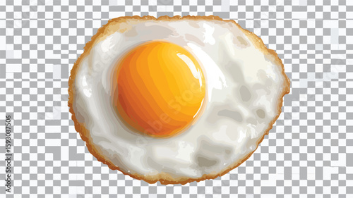 Perfect Sunny Side Up Egg Illustration