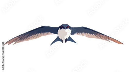 Graceful Swallow in Flight