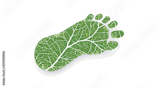 Baby Footprint on White Background