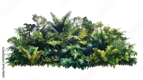 Lush Tropical Forest Woodland Vegetation Scene