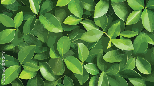Lush Tropical Leaves Background Centered View
