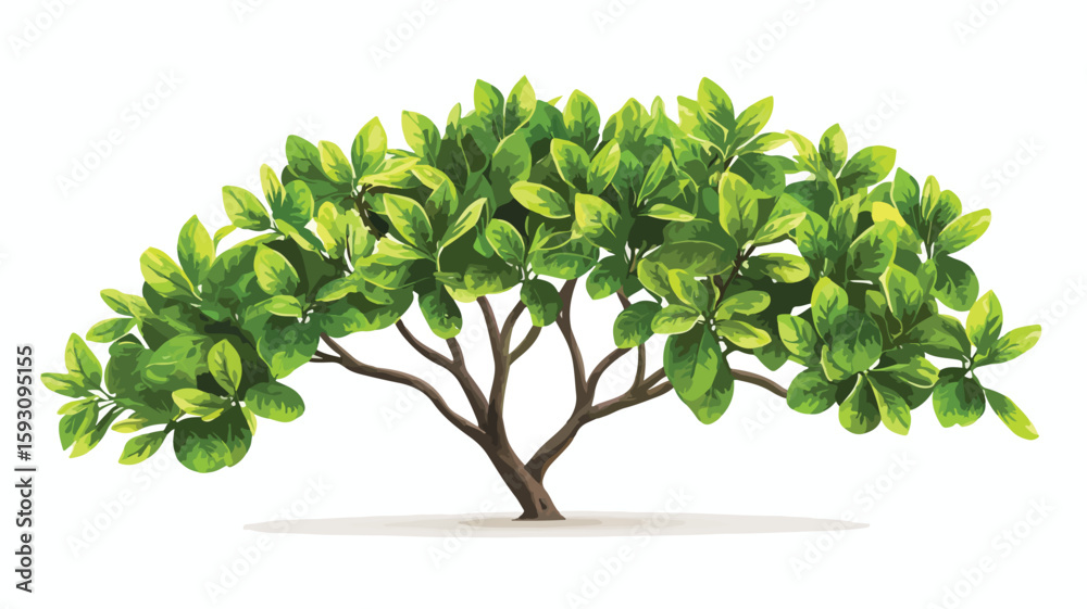 Obraz premium Tropical Plants on White Background