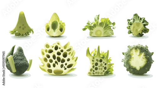 Assorted Cut-Out Vegetables Set