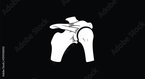 Shoulder Joint Anatomy White on Black - AI Generative
