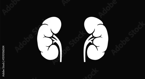 Kidney Organs White Silhouette on Black - AI Generative

