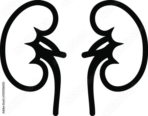 Kidney Organs Stylized Outline - AI Generative
