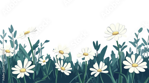 Wildflower Daisy Plant Wide Angle Centered