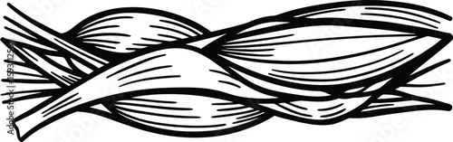 Fibers or Muscles Abstract Line Art - AI Generative
