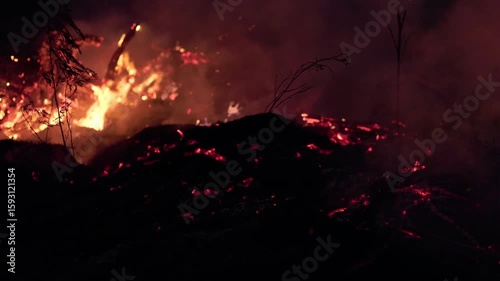 A nighttime wildfire burning through jungle, causing extensive deforestation and releasing smoke that air pollution, while impacting the local environment and accelerating climate change on Earth.