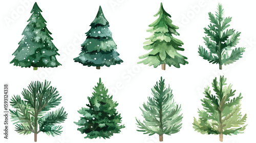 Watercolor Christmas Tree Element Set