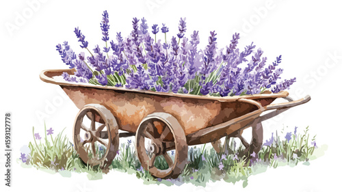Garden Wheelbarrow Watercolor Illustration with Lavender