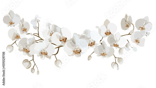 Elegant White Orchid Border Frame Decor