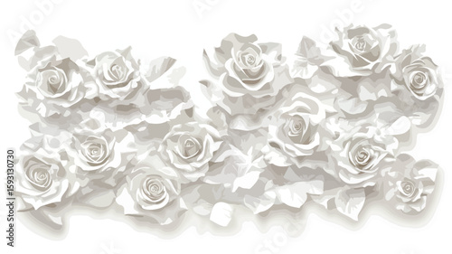 White Roses Relief Pattern Petal Plant