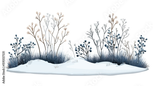 Serene Winter Landscape Photography