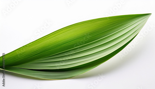 realistic lemongrass leaf isolated on white background with fresh curved shape