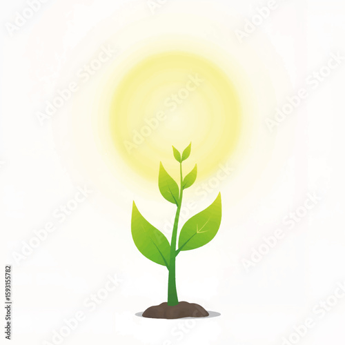 Green plant growing with radiant light in minimalistic style  